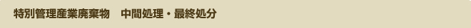 特別管理産業廃棄物　中間処理・最終処分